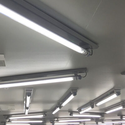 Lampada LED Tubular T8 65w